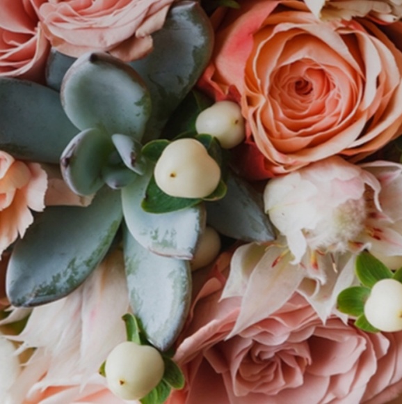 Meet your Posher, Paula - Picture 1 of 1